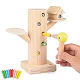 FORMIZON Montessori Spielzeug, Magnetischer Specht...