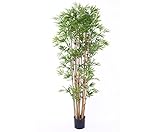 kunstpflanzen-discount.com Künstlicher Bambusbaum...