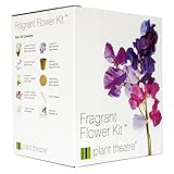 Plant Theatre Kit Fragrant Flowers - 6 wunderbare...