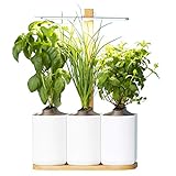 Lilo, Ihr smarter Indoor-Garten ❃ Bauen Sie das ganze...