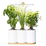 Lilo, Ihr smarter Indoor-Garten ❃ Bauen Sie das ganze...