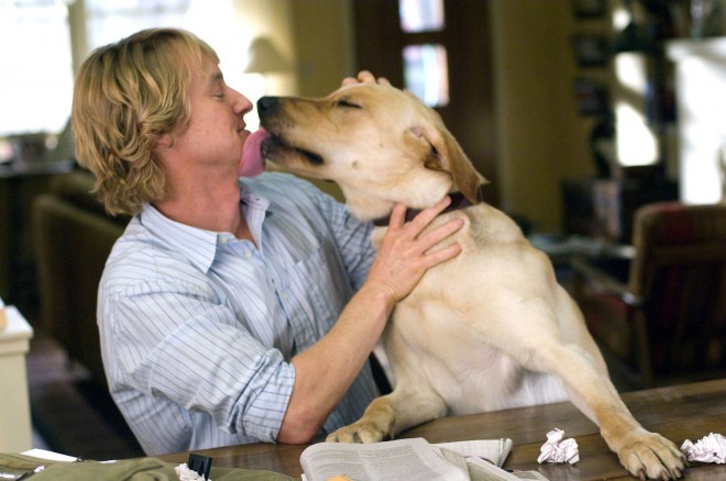 marley-and-me-main