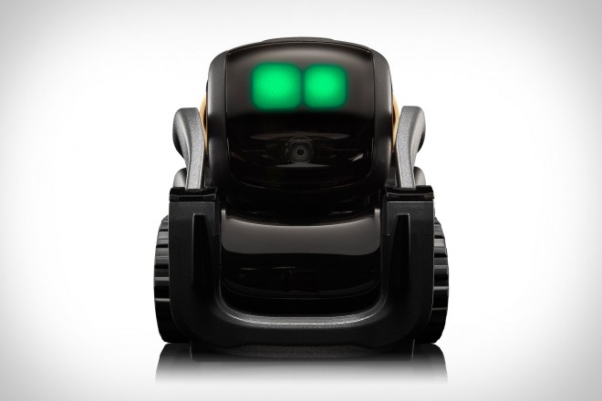 Vector: robot, ki bo v trenutku postal vaš hišni