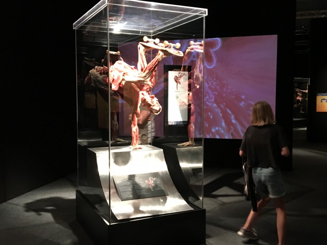 Plastinacija je proces ali tehnika, s katero preprečimo propadanje človeškega telesa po njegovi smrti.
