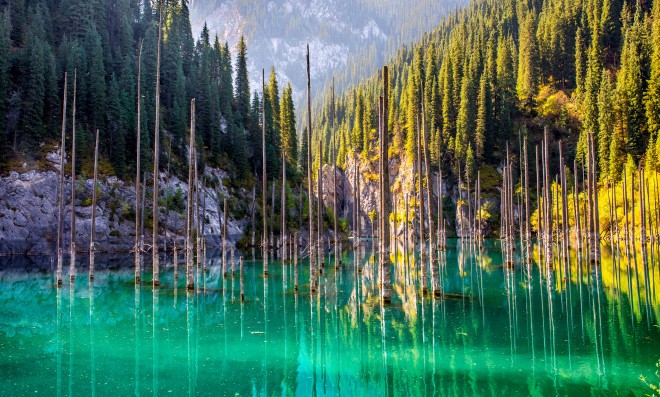 shutterstock_716225236