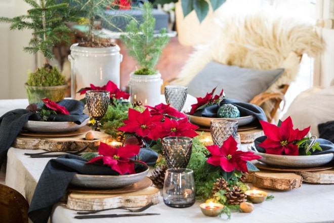 Uma poinsétia é uma decoração maravilhosa em uma mesa festiva. (Foto: Instagram @thechristmasstar)