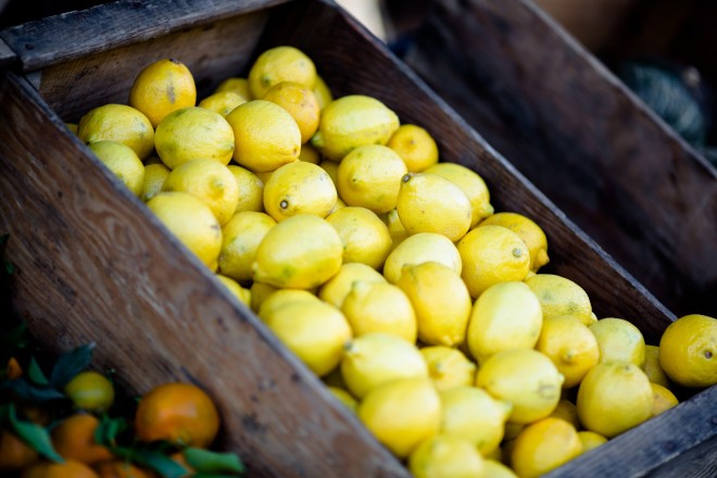 Lupine citrusov