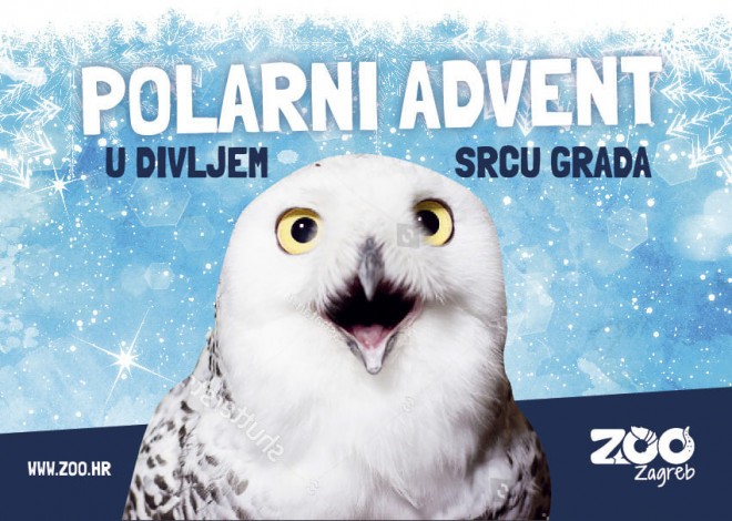 Polarni advent v ZOO Zagreb (Foto: Zagreb Advent)