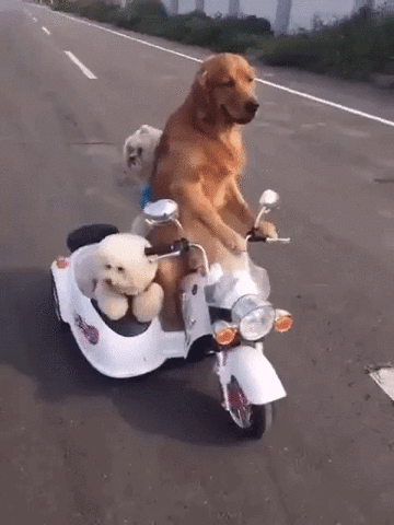 You want to do this for the children.