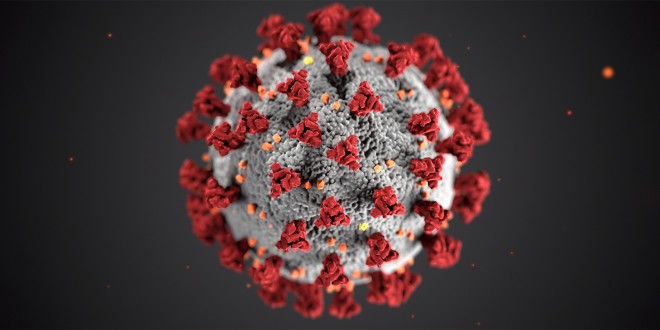 The coronavirus