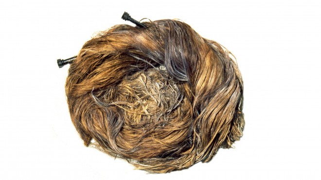 Figa iz las, ki jo je delil Yorkshire Museum iz Yorka v Angliji. (Foto: Twitter Yorkshire Museum / @YorkshireMuseum)