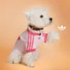 Adidas Originals Pets