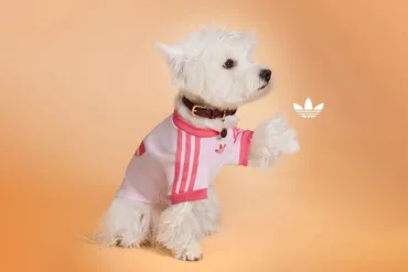 Adidas Originals Pets