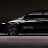 Tesla Robotaxi